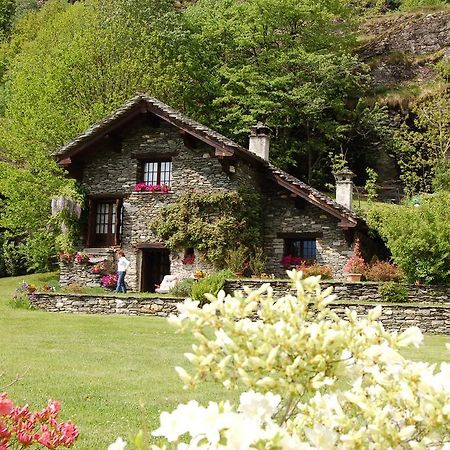 Hotel Chalet Le Primule Premia Pokoj fotografie