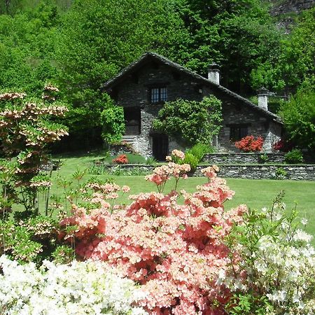 Hotel Chalet Le Primule Premia Pokoj fotografie