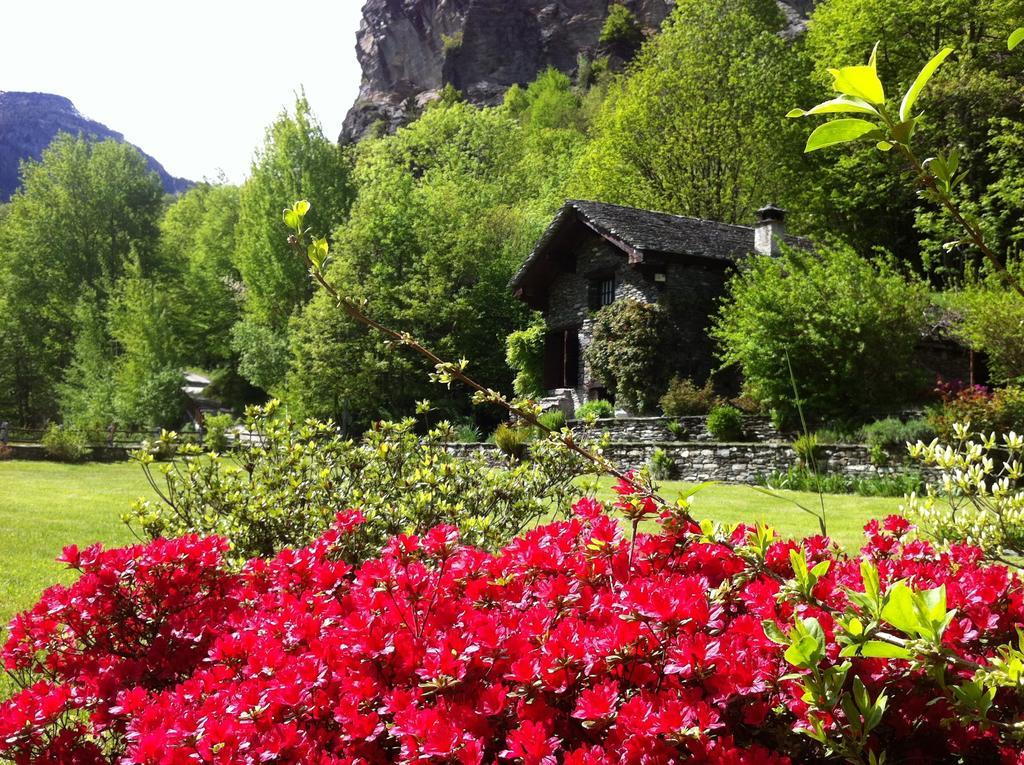 Hotel Chalet Le Primule Premia Pokoj fotografie