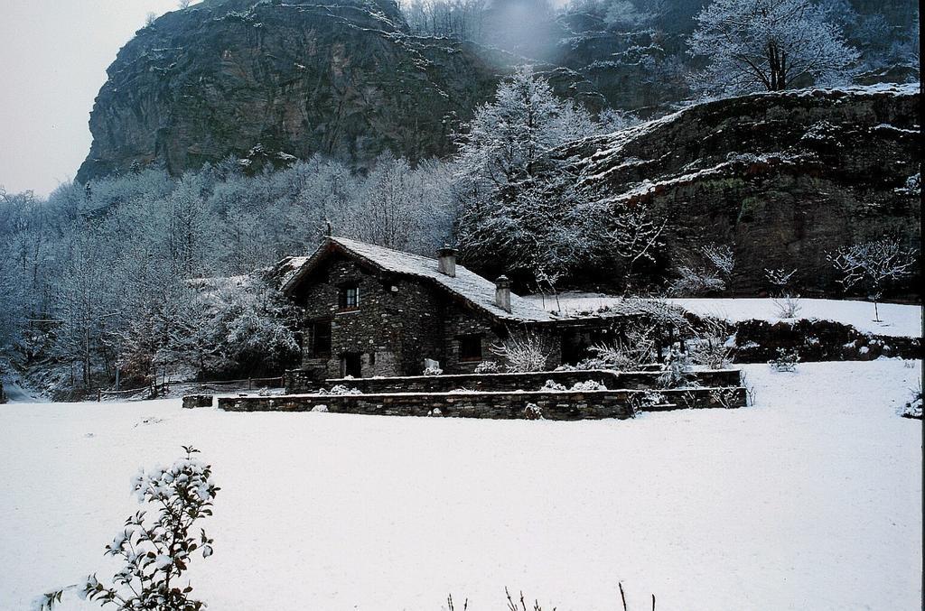 Hotel Chalet Le Primule Premia Pokoj fotografie