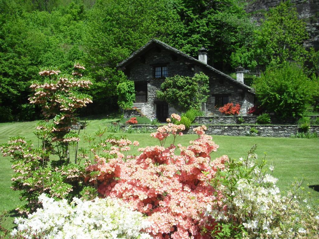 Hotel Chalet Le Primule Premia Pokoj fotografie